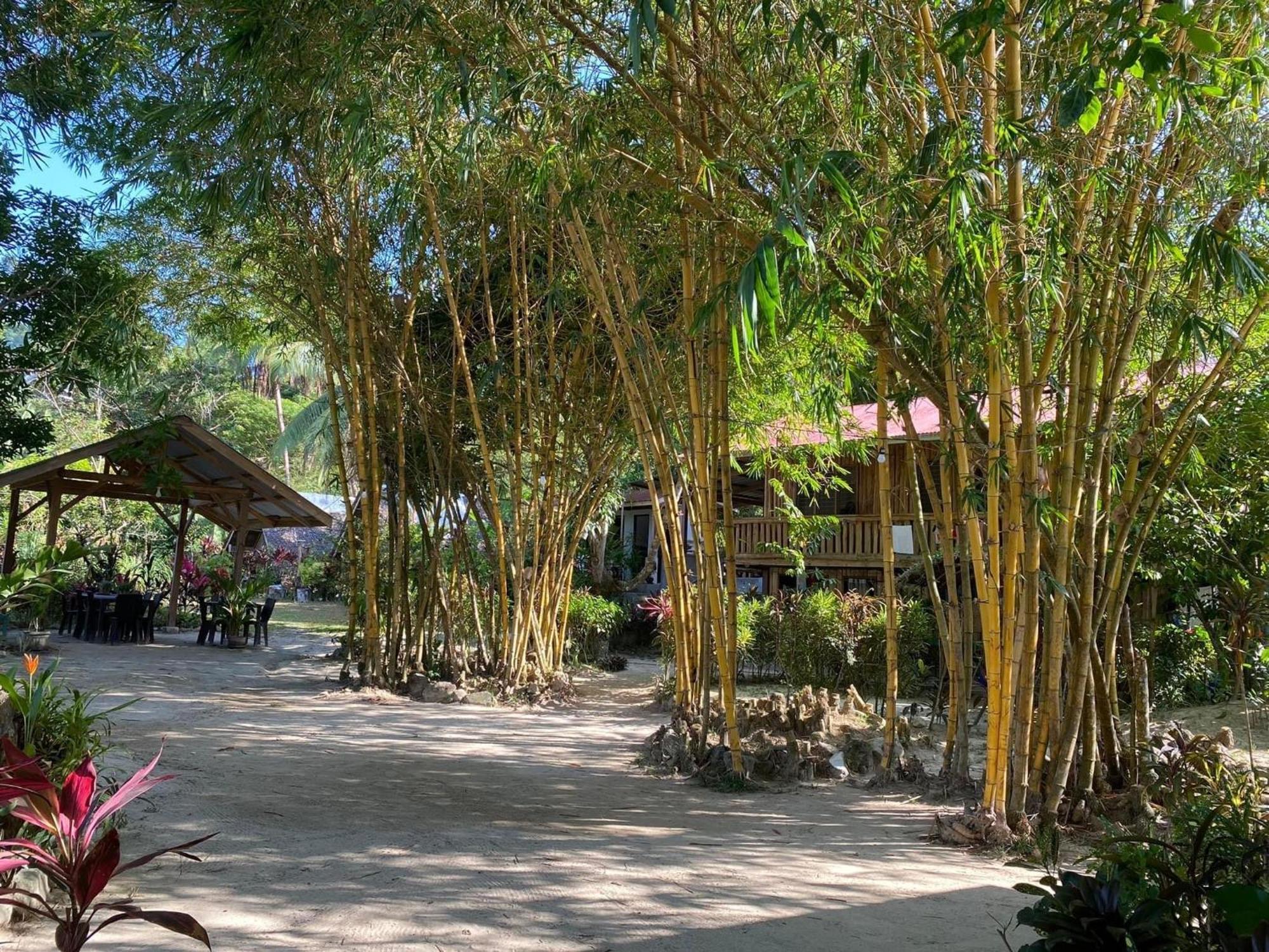 Port Barton - Paradiso Azul Campsite Beachfront With Internet San Vicente  Buitenkant foto